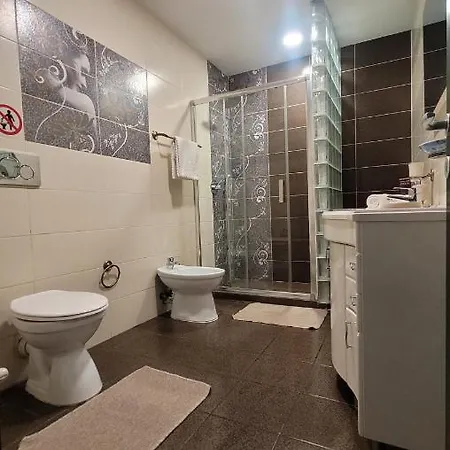 Riccardos's Apartment Brasov